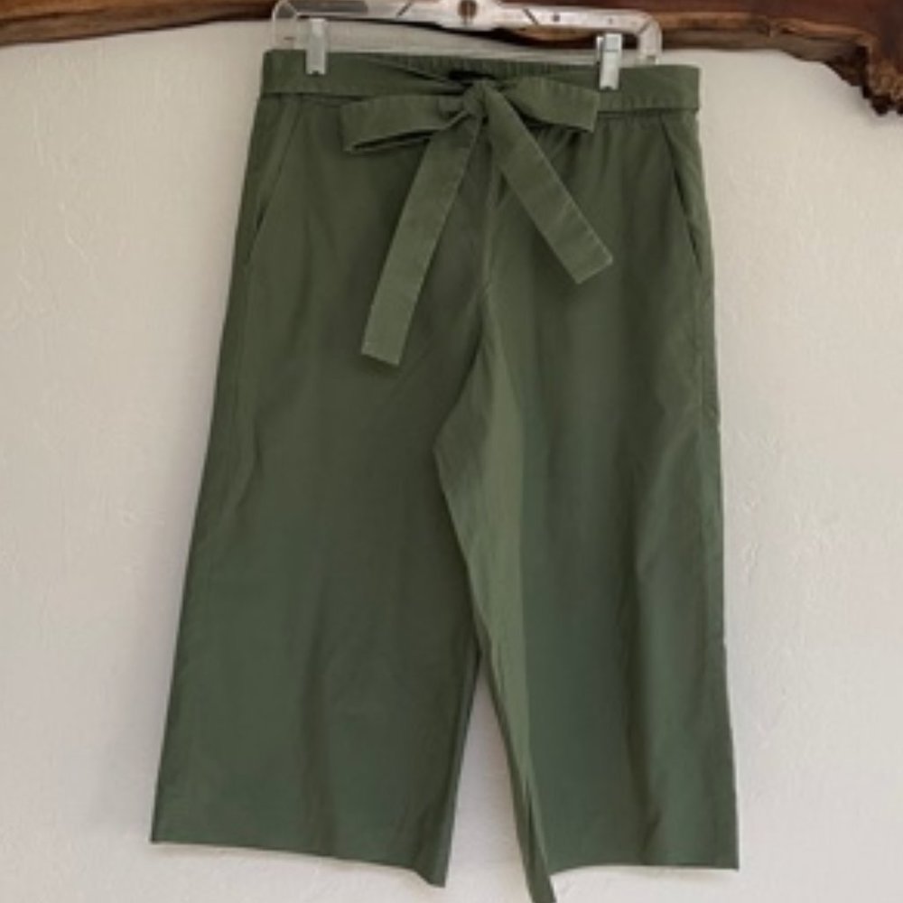 J.Crew Green Rory Wide Capri Pants Size 8
